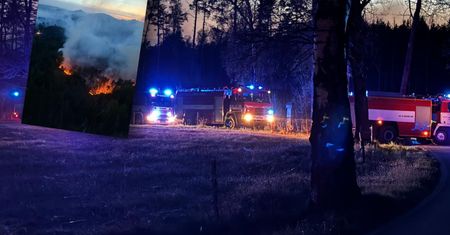 Pożar lasu w Czechach. Strażacy ogłosili nadzwyczajny stan alarmu