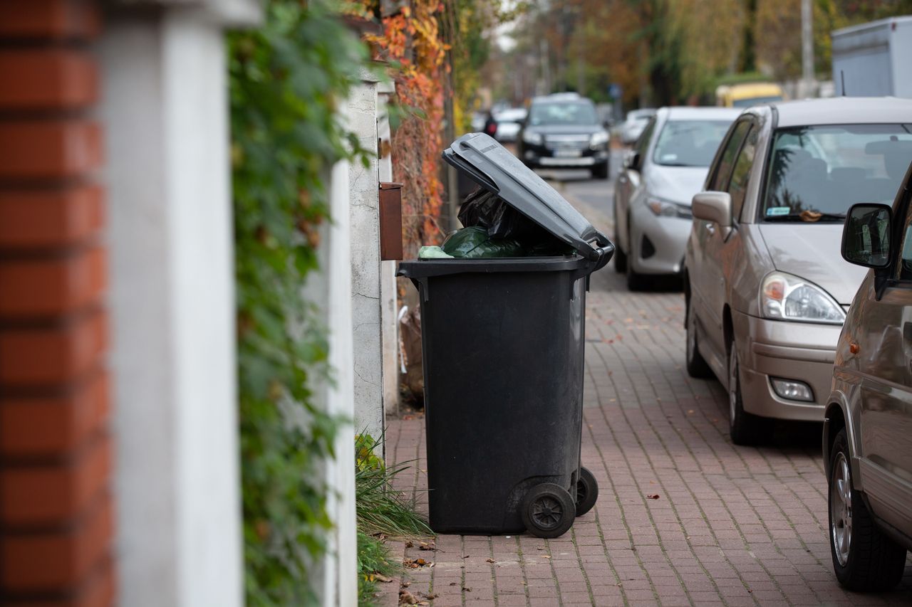 Żółte i czerwone kartki. Tak Niemcy robią porządek ze śmieciami