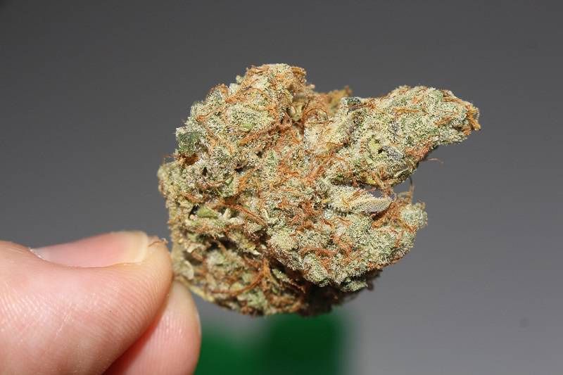 marihuana narkotyki