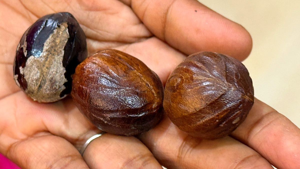 Gałka muszkatołowa – przyprawa, która może wspierać trawienie