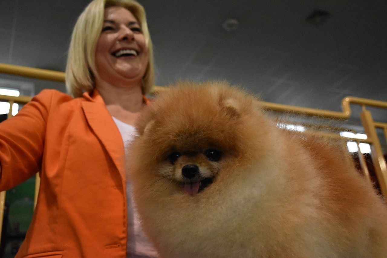 Chojnice: V Wystawa Psów Rasowych zachwyciła publiczność