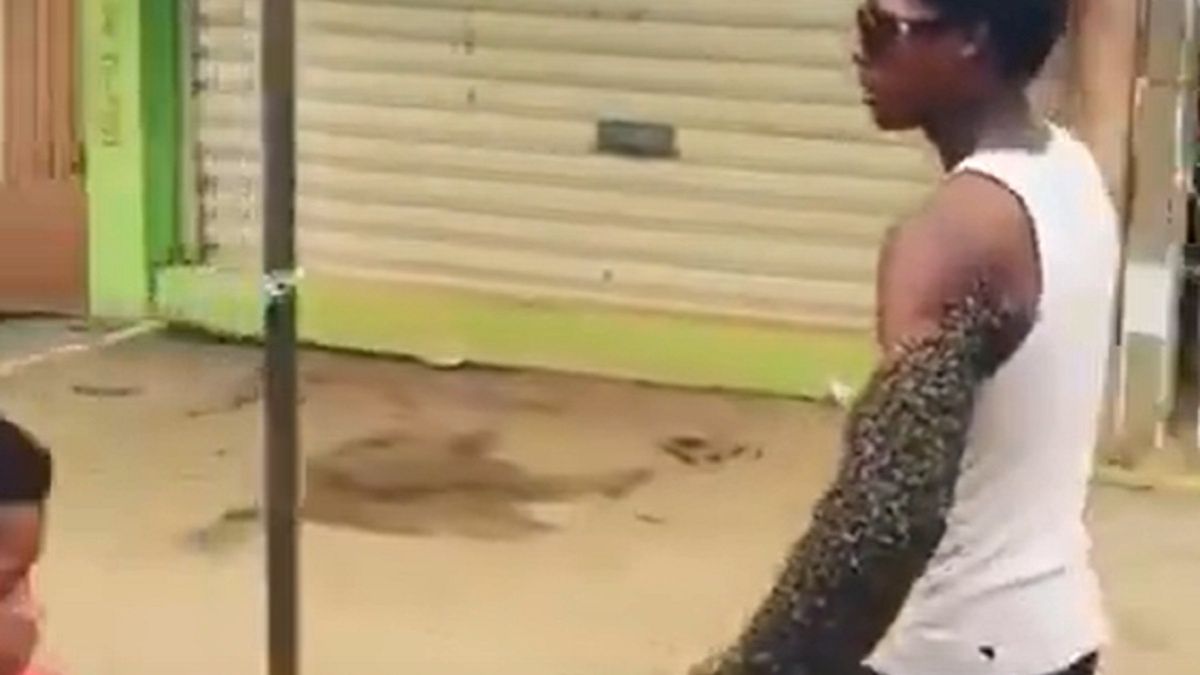 rój pszczół na ręce