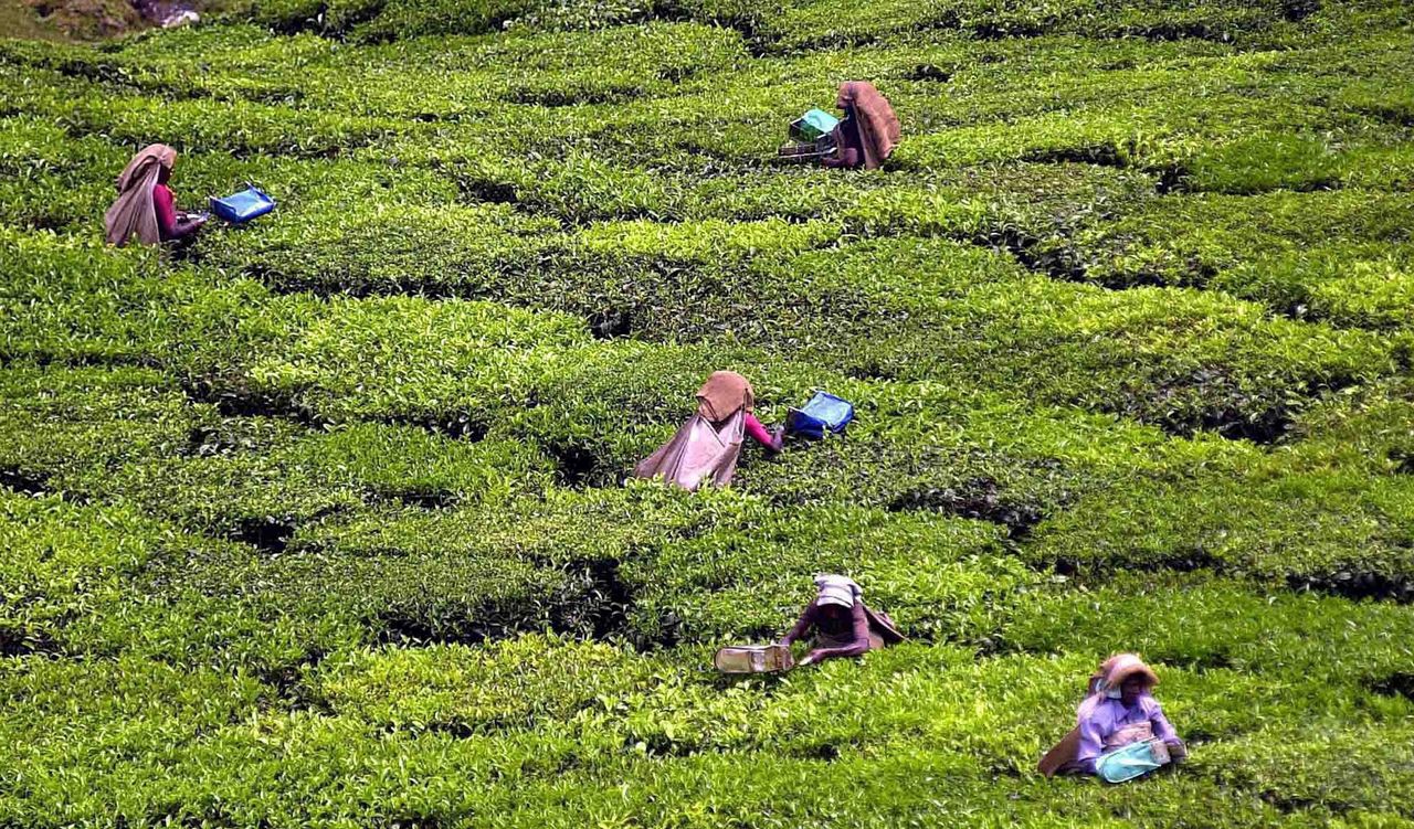 Zaskakująca konsekwencja koronawirusa w Indiach. Rosja już się martwi