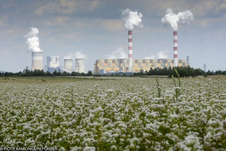 Eksperci ostrzegają przed backoutem w 2050 roku