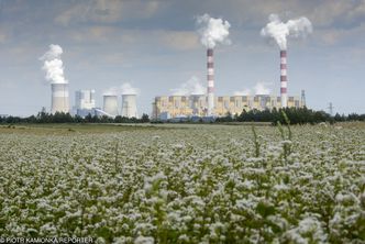"Zabójcze subsydia". Polska na niechlubnym pierwszym miejscu