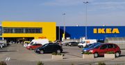IKEA ostrzega przed oszustami. Niektórzy nakłaniają do wysyłania SMS-ów Premium