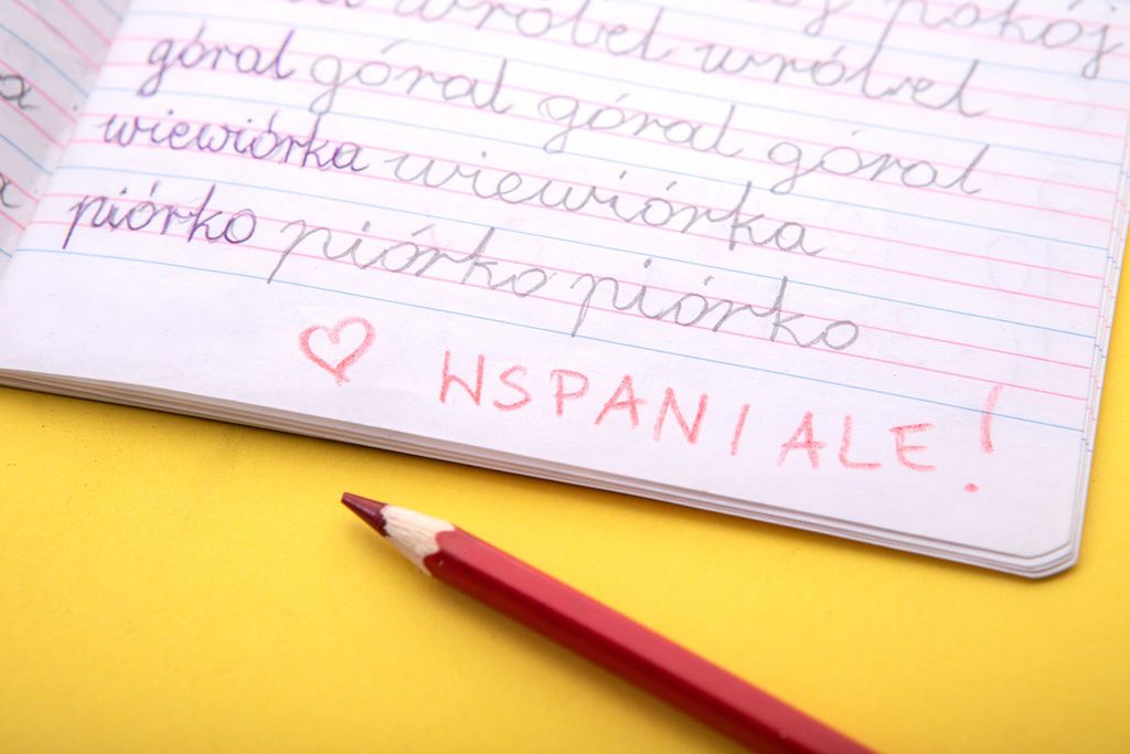 Edukacja wczesnoszkolna w Polsce. Na czym polega, jakie są jej cele?