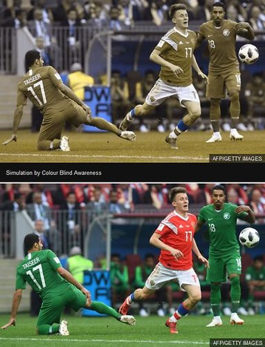 Symulacja postrzegania barw stworzona przez Colour Blind Awareness