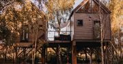 Wakacje w domku na drzewie. "Zainteresowanie przerasta oczekiwania"