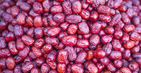 "Polska cytryna". Pomocny przy nadciśnieniu i wysokim cholesterolu
