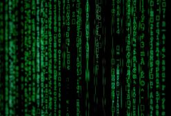Cyberataki na holenderską policję. Wywiad ujawnił szczegóły