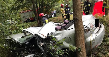 Policja nie wie, co się stało. Makabryczne odkrycie w lesie