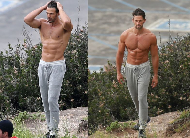 Tim Robards