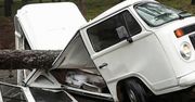 Drzewo zmiażdżyło volkswagena T2. Późniejszy wyczyn auta jest dowodem niezniszczalności starych konstrukcji