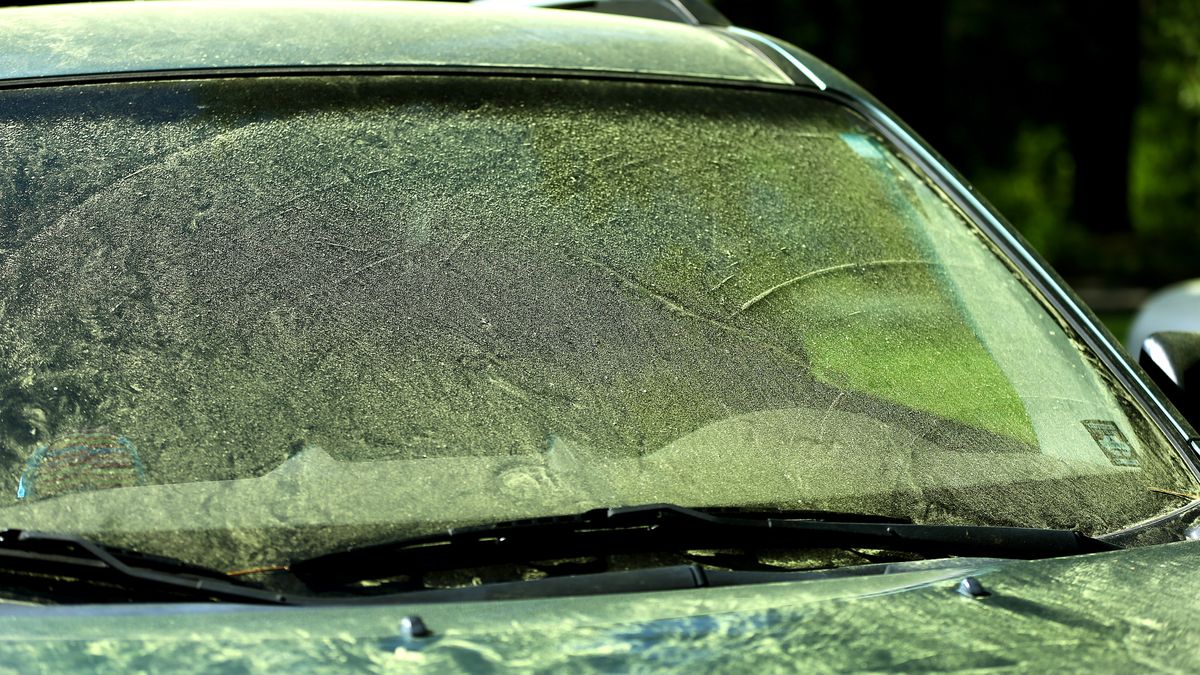 Pollen From Pine Trees
PEMBROKE, MA - JUNE 4: Pollen from pine trees coats the windshield of a vehicle in the front yard yard of a Pembroke home. (Photo by John Tlumacki/The Boston Globe via Getty Images)
Boston Globe