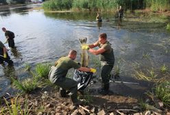 Zatruta Odra. Lecą głowy za brak reakcji na ekologiczną katastrofę