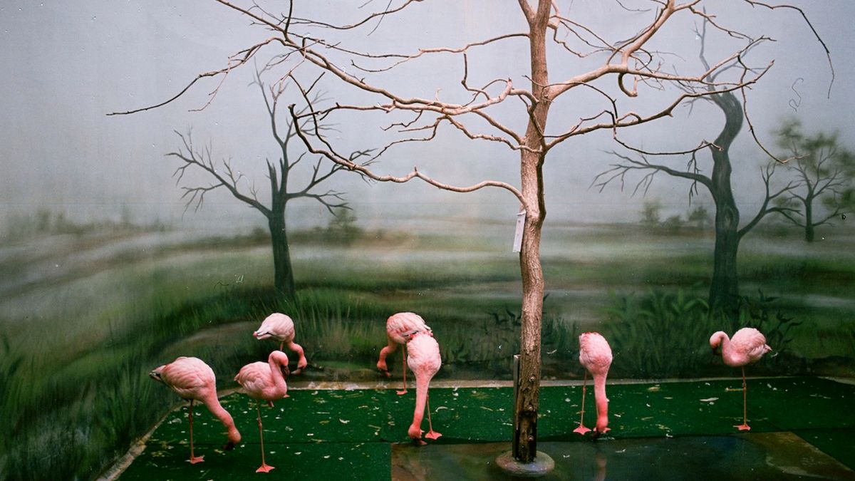 Uliczne rozmowy: Piotr Kaczmarek 1