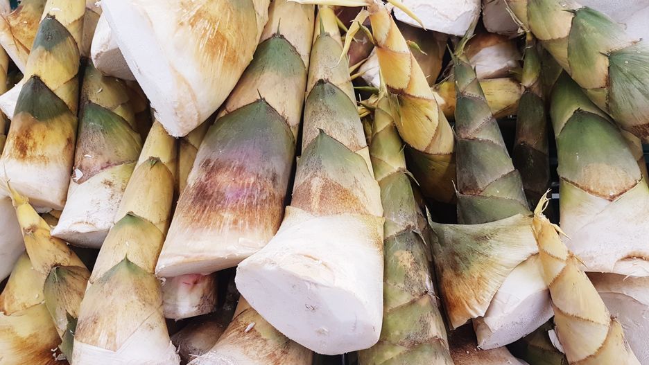 bamboo shoot, farmer market, stall, street market, ingredients, selling, bamboo, retail display, market stall, location, stack, for sale, eating, ingredient, market, retail, raw food, growing, natural, abundance, pollen, vegetable, large group of objects, beauty, green, wellbeing, healthy eating, petal, leaf, backgrounds, food, still life, food and drink, flower, high angle view, freshness, indoors, tree, plant, nature, day, no people, shoot