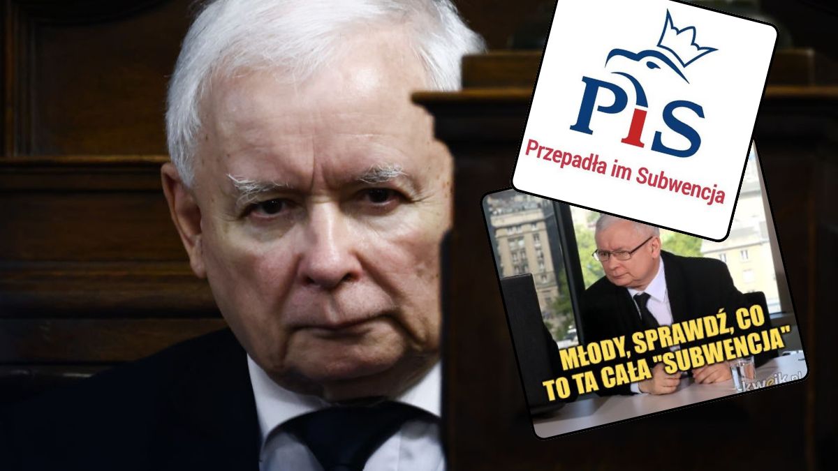 Fala memów po decyzji PKW ws. PiS