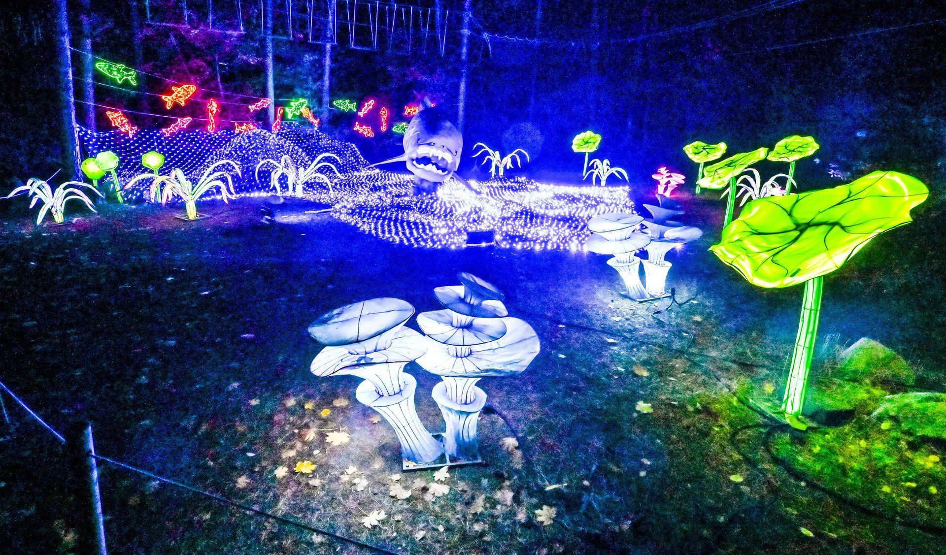 W tym roku dużą uwagę poświęcono naturze.