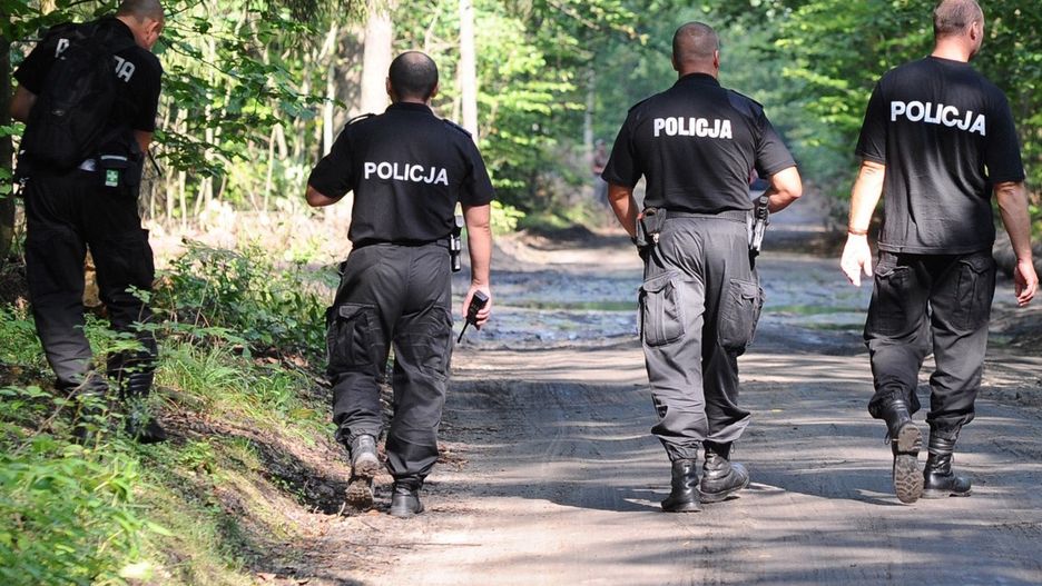 policja