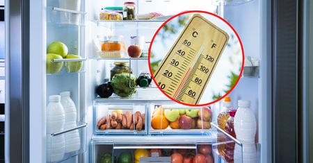 Jaką temperaturę ustawić w lodówce latem? Ta wiedza pozwoli ci zaoszczędzić