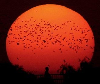 Burze na Słońcu będą coraz częstsze