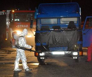 Eutanazja łabędzi zarażonych ptasią grypą