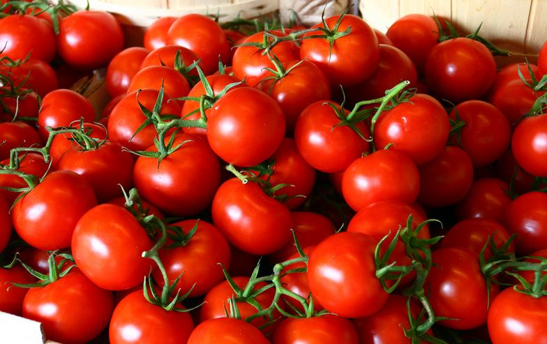 Rosjanie znowu będą jeść tureckie pomidory