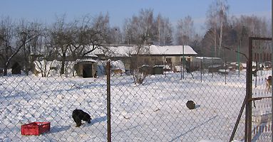 Zobacz zdjęcia ze schroniska w Korabiewicach