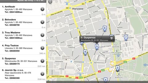 Polska wyszukiwarka firm na iPada 1