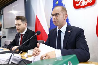 Afera wizowa w miasteczku Orlenu. Szczerba: wśród zgłaszanych pracowników były dzieci