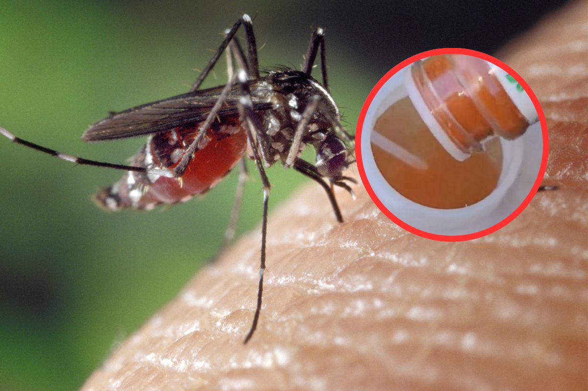 Mieszanka, która odstrasza komary