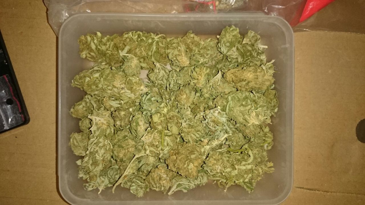 Policja zabezpieczyła ponad 1,5 kg narkotyków