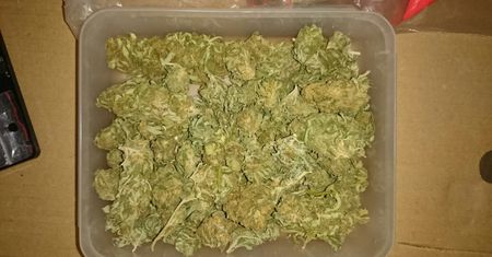 Policja zabezpieczyła ponad 1,5 kg narkotyków