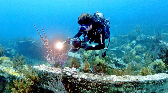 Wyprawa na dno: Mroczne głębiny