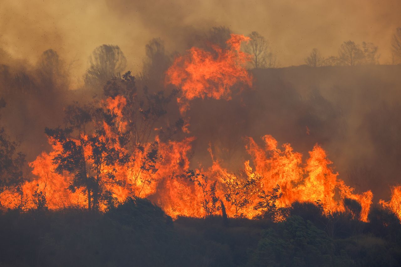 Turkey battles 44 fires: Arson suspects detained in Izmir