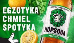 Ostecx Créative wprowadza napój z chmielem Hopsoda