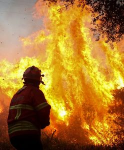 Pożary w Portugalii. Ogień zagraża kurortom w Algarve