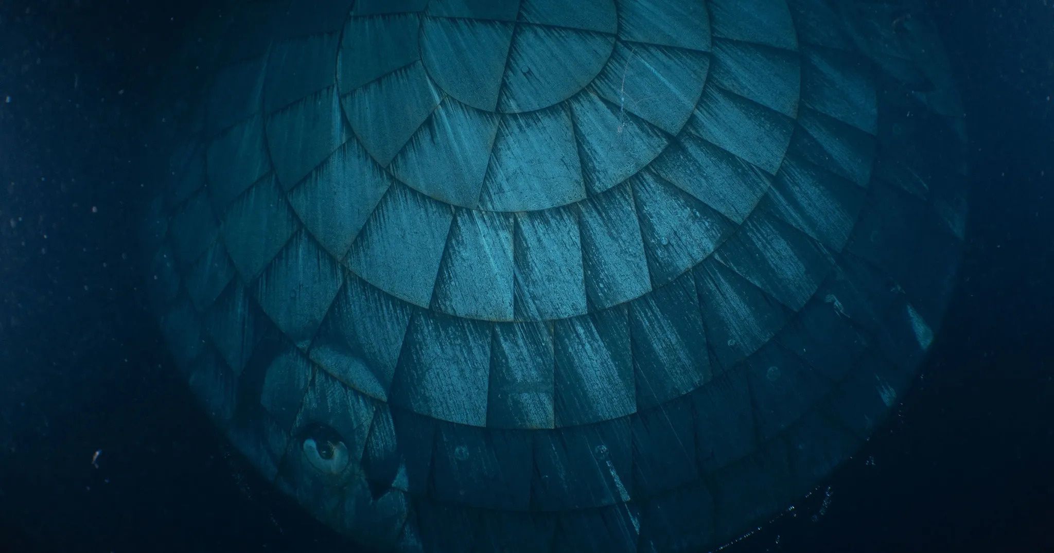 Fascynujące zdjęcie. Chwilę wcześniej była rozgrzana do tysięcy stopni