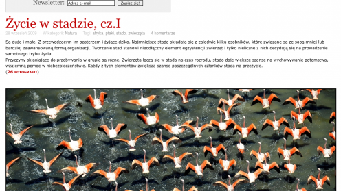 Pogoda na polskie fotoblogi - 6 adresów, które musisz odwiedzić 1