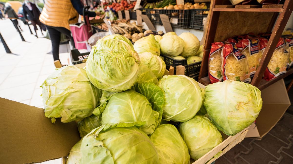 bazar warzywa kapusta