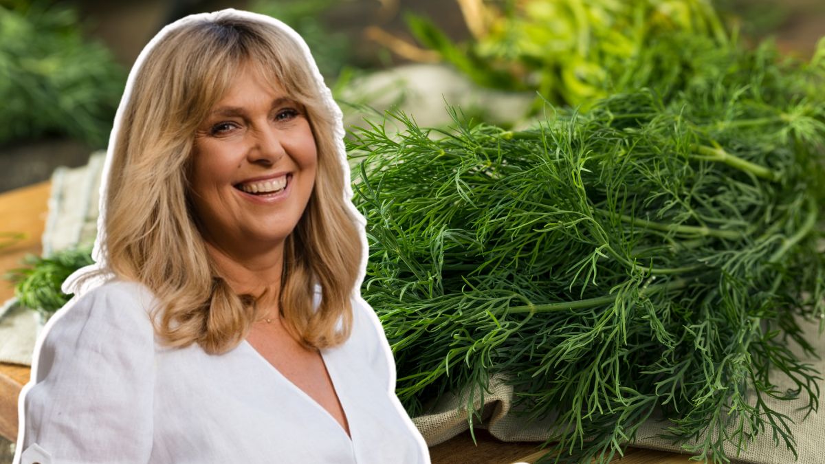 Ewa Wachowicz przechowuje koperek w słoiku