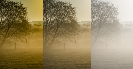 Adobe Lightroom CC w pełni kontroluje mgłę