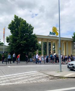 Wrocław. Jubileusz wrocławskiego ogrodu zoologicznego. Ma 155 lat