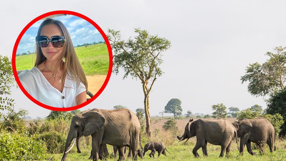 Safari w Tanzanii to ciekawe przeżycie 