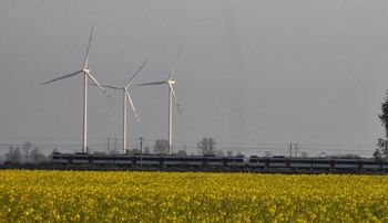 Polska dostaje zgodę na gigantyczne wsparcie dla OZE. Kiedy ruszą pierwsze projekty?