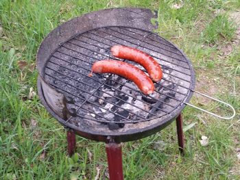 Przyłapani zapłacą do 5000 zł. Zakazane podczas grillowania