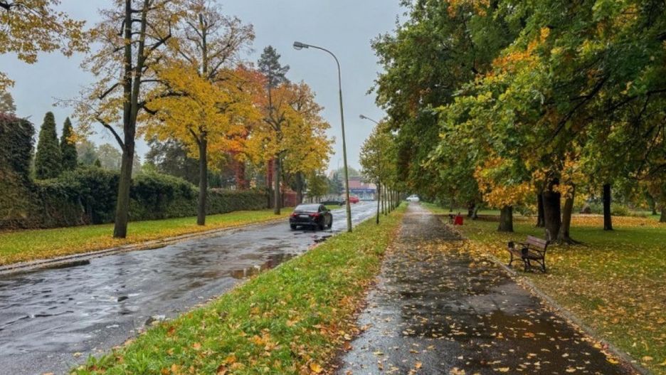 Al. Ofiar Ludobójstwa OUN UPA (źródło: UM Legnica)
