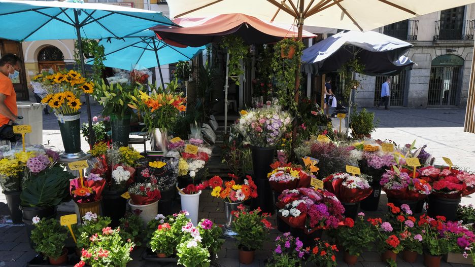 Dzień Matki 2020. Jakie pomysły na prezent z okazji Dnia Matki?